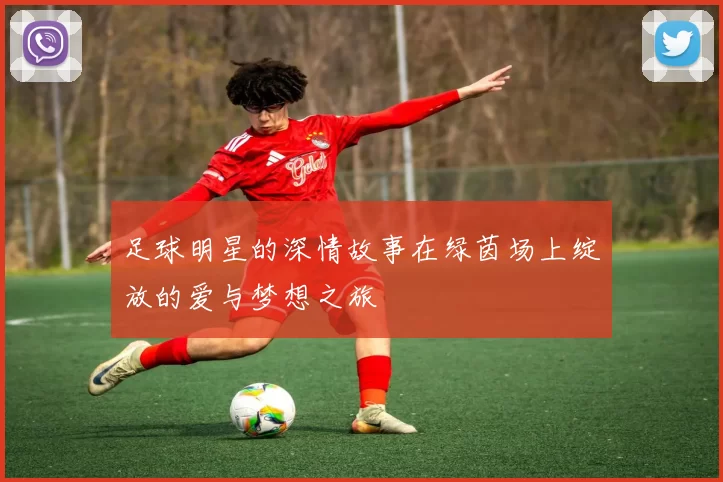 足球明星的深情故事在绿茵场上绽放的爱与梦想之旅