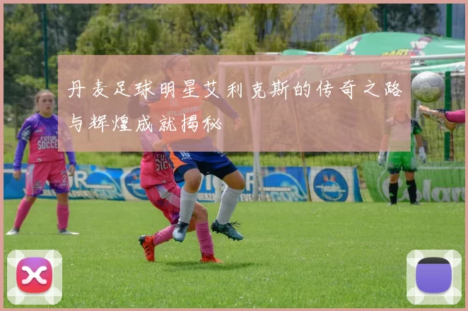 丹麦足球明星艾利克斯的传奇之路与辉煌成就揭秘