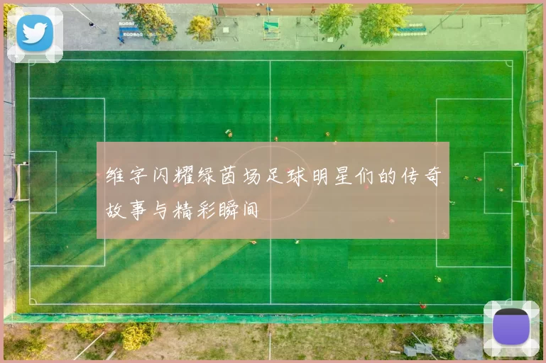 维字闪耀绿茵场足球明星们的传奇故事与精彩瞬间