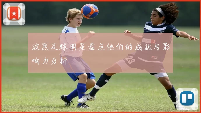波黑足球明星盘点他们的成就与影响力分析