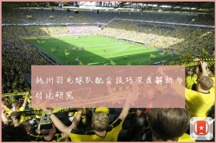 杭州羽毛球队配合技巧深度解析与对比研究