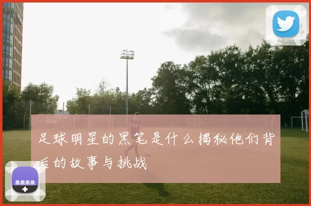 足球明星的黑笔是什么揭秘他们背后的故事与挑战