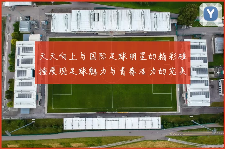 天天向上与国际足球明星的精彩碰撞展现足球魅力与青春活力的完美结合
