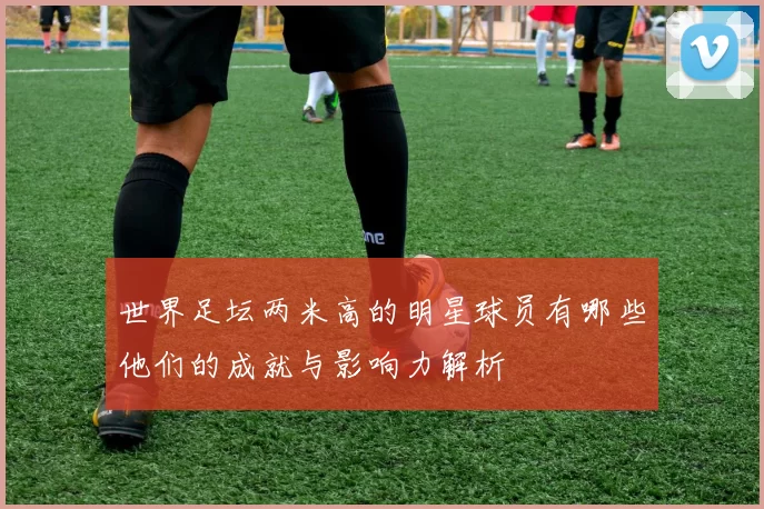 世界足坛两米高的明星球员有哪些他们的成就与影响力解析