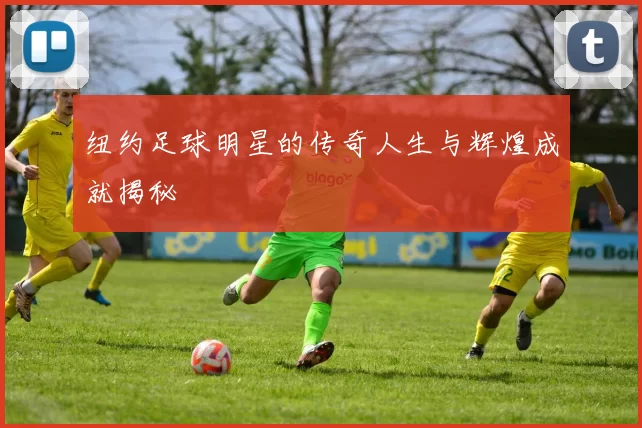 纽约足球明星的传奇人生与辉煌成就揭秘
