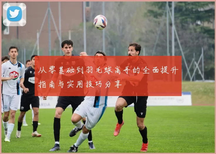 从零基础到羽毛球高手的全面提升指南与实用技巧分享