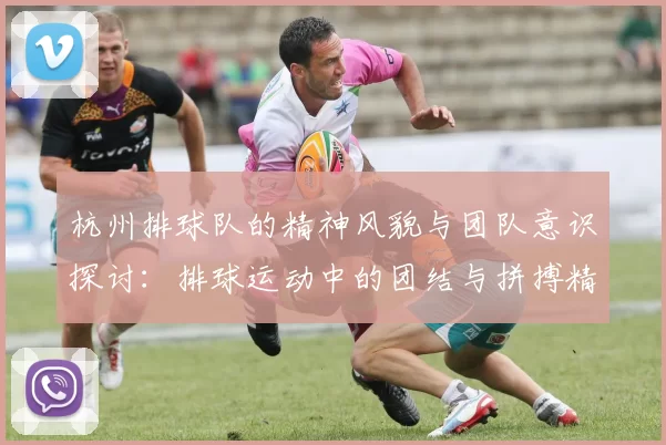 杭州排球队的精神风貌与团队意识探讨：排球运动中的团结与拼搏精神