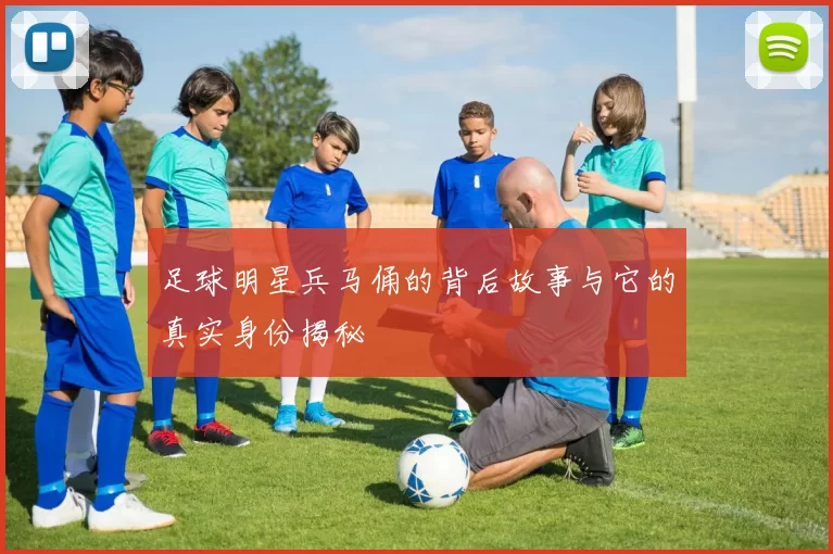 足球明星兵马俑的背后故事与它的真实身份揭秘