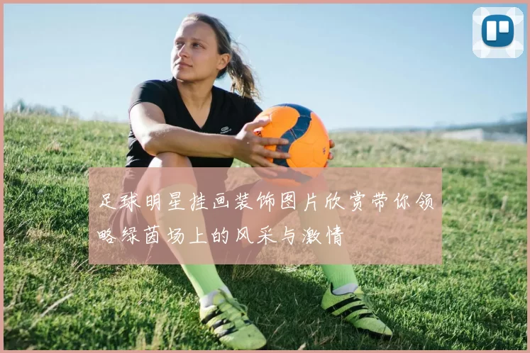足球明星挂画装饰图片欣赏带你领略绿茵场上的风采与激情